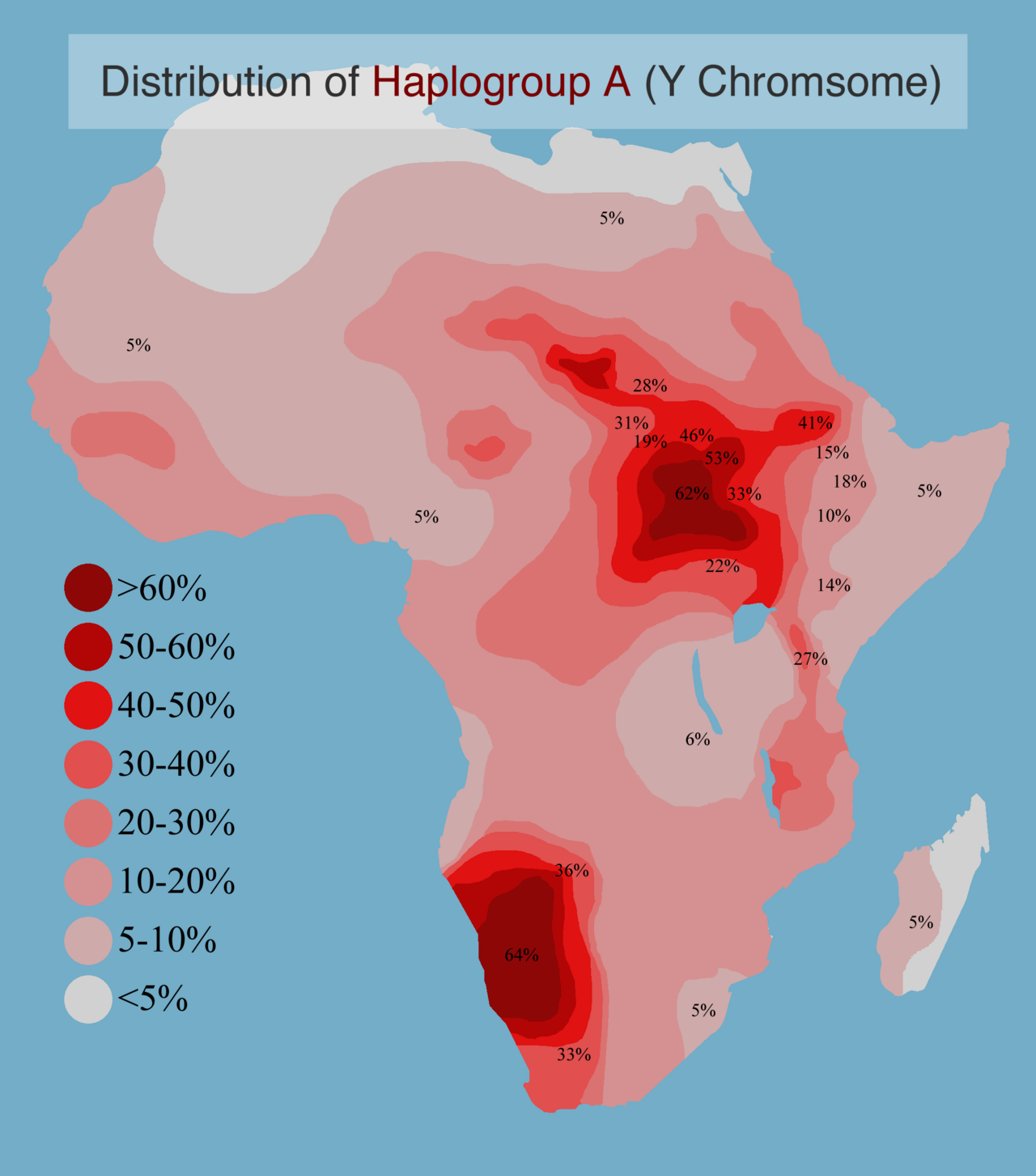 The Y Chromosome